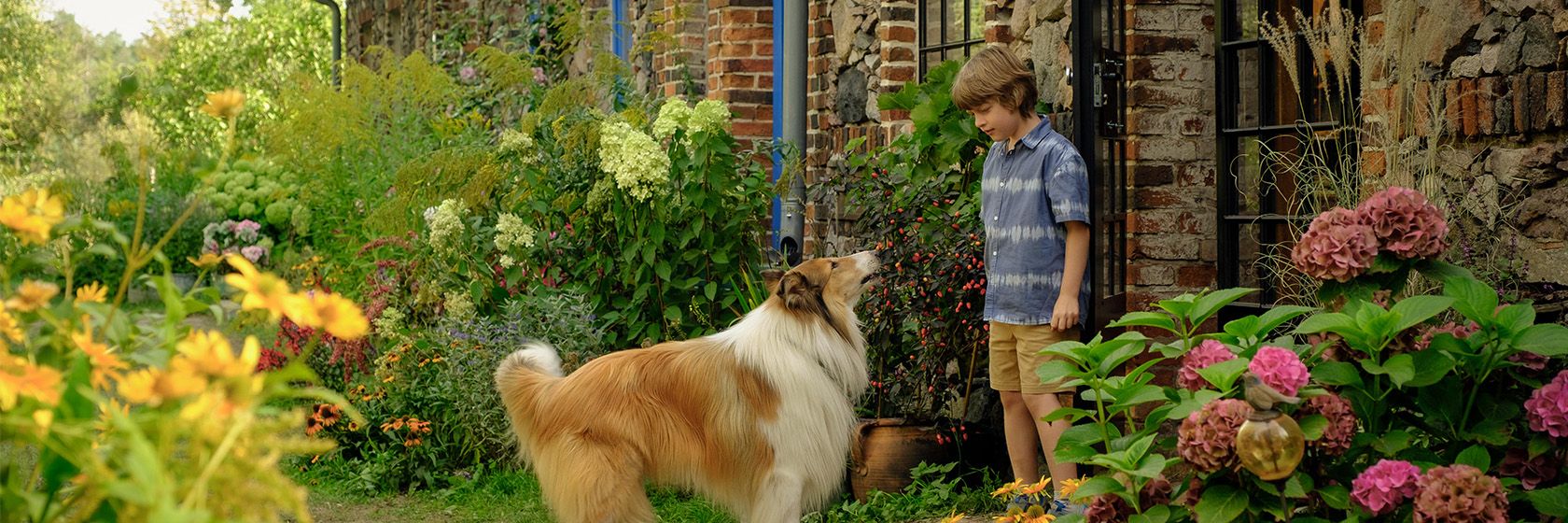 Lassie - A New Adventure